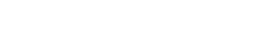 LeviFlow